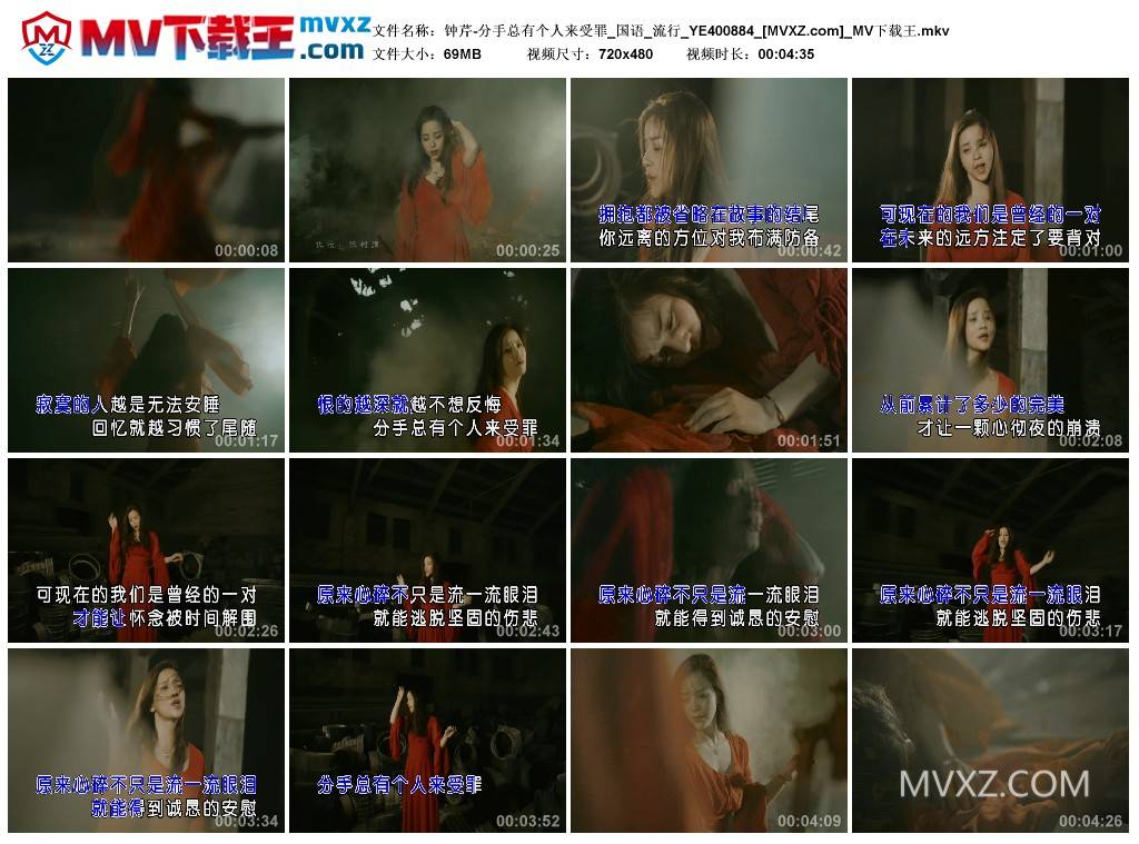 钟芹-分手总有个人来受罪_国语_流行_YE400884